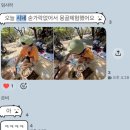 레알스포츠()주 | 2026 쉬엄쉬엄 한강 3종 축제 상급자 코스 첫 한강수영, 올해도 무료 수상스포츠 패들보드+모터보트