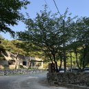 왕방요 | 울주군 아이랑 가기 좋은제목없음예쁜 카페 추천 왕방요 내돈내산 솔직후기