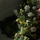 싱그러운 여름 플로리스트(5월) 이미지