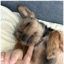 시화유치원 이미지