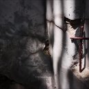 오포1동-18 이미지