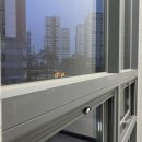 쭈 주식회사 이미지