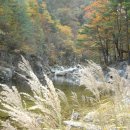 산들바람 이미지