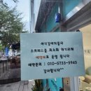 김해 강아지분양 두부네 하루 이미지