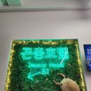 윙키핑키 | 키즈카페와 함께 즐기는 영등포 고양이카페 윙키핑키