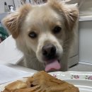 쁜이네곳간 이미지