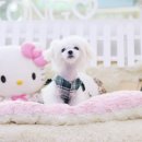 아콩하우스 이미지