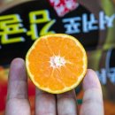 민영농장 이미지