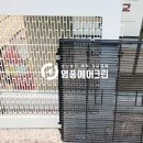 신우스터디학원