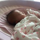 대하체육관 이미지