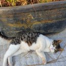 완쾌신경과의원 | [오희종 신경과 대리접수 리얼 후기] 이석증으로 인한 접수대행 실제 후기