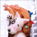 바우와우 이미지