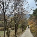 묵계 | [안동]만휴정 후기&amp;묵계서원 근처 카페 만휴정