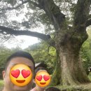 수만리 생태숲공원 | 전라도 광주 무등산국립공원ㅣ수만리생태숲공원 아이랑 도원야영장 산막텐트