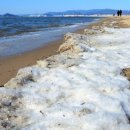 다대포해수욕장 이미지