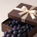 로얄마트 이미지