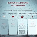 sympathy empathy compassion 이미지