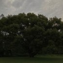 오브(AUBE) 이미지