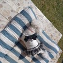 소리야네집 이미지