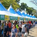 한우랑송이랑 이미지