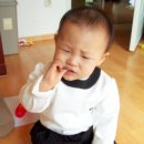 금부치 - 강서구 양천로 476 | 금부치