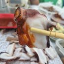 진도다도해낚시