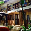 레이지독 이미지