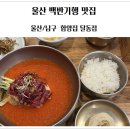 백반기행맛집 출신 울산달동맛집 함양집에서 육회물회 육회비빔밥 치즈불고기 먹은 후기