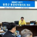 울릉, 빈틈 뉴데일리