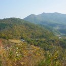 오도치