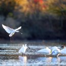 주남저수지 이미지