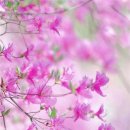 너를 만나다 이미지