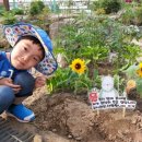 무럭이농장 이미지