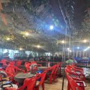 꽃무지 | 광주 근교 가족끼리 가기좋은 생오리,생삼겹 맛집 내돈내산 후기 <꽃무지야생화촌>