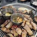 제주도세기 이미지