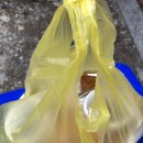 이가네곱창 | 🔥 청주 곱창 푸드트럭 끝판왕, 찾아가서라도 먹는 이가네 곱창 솔직 후기