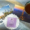 가향민박 이미지