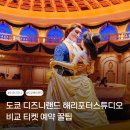 도쿄 디즈니랜드 해리포터스튜디오 비교 티켓 예약 꿀팁
