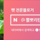 주식회사 모비딕