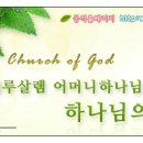 알유업 Daum카페