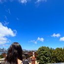 메가시티1 | 시드니 여행 호텔 추천: 메가붐 시티 호텔 내돈내산 후기