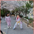 동대문태권도 이미지