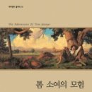 톰소여의모험 이미지