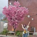 피카커피인더플레이스 | [카페] 경산대형카페 피카커피 인더플레이스 방문 후기
