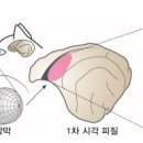 카이스트 이미지