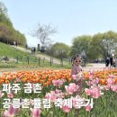 파주세무서 | 파주 공릉천 튤립 축제 주차정보 및 이용 후기