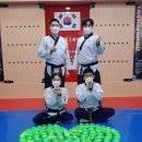 박사 백호 태권도장 이미지