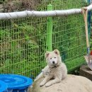 원방축사 이미지