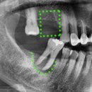 화정연치과의원 이미지