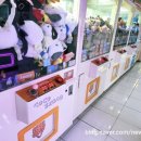 토이팡팡 멀티뽑기방 이미지